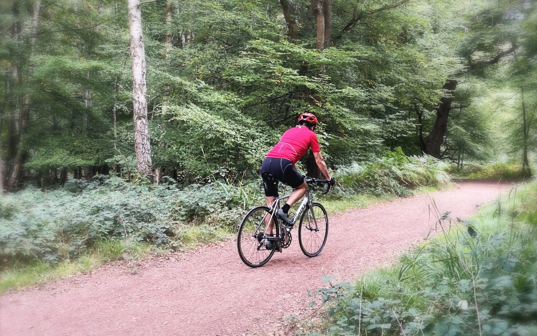 SUBSCRIBE TO THE TREELINE NEWSLETTER