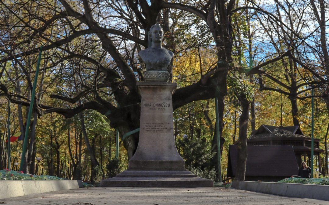 The Linden Tree of Iasi