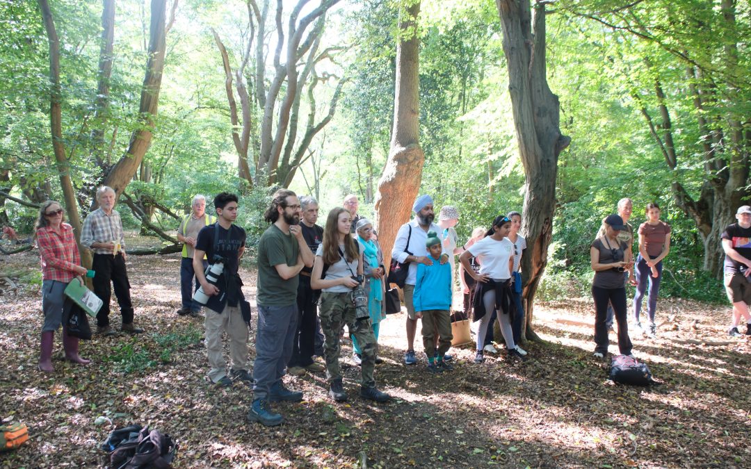 Epping Forest