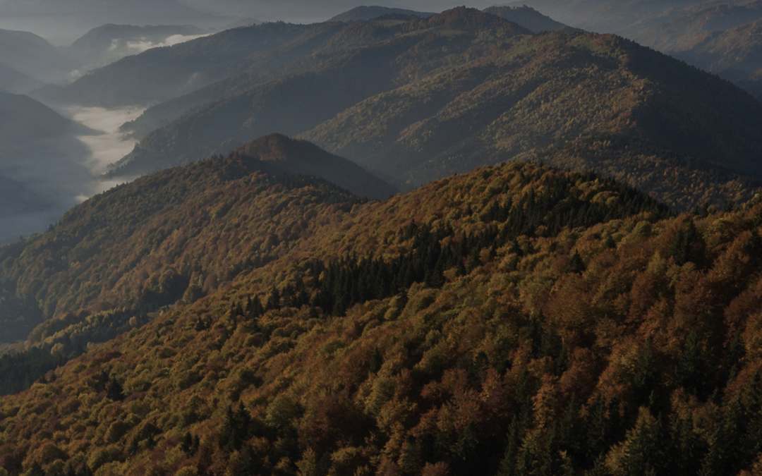 The European Nature Trust