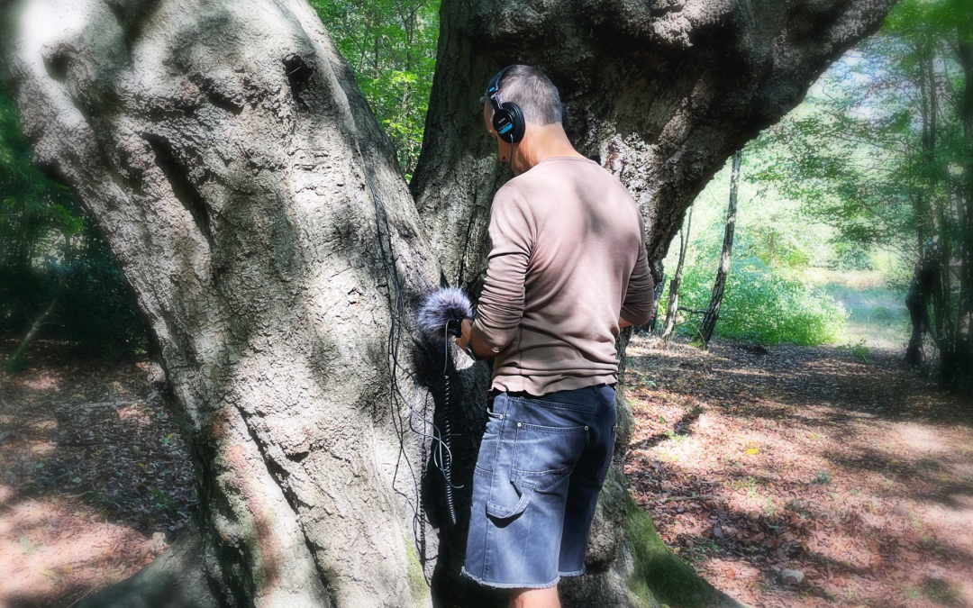 Tree Data