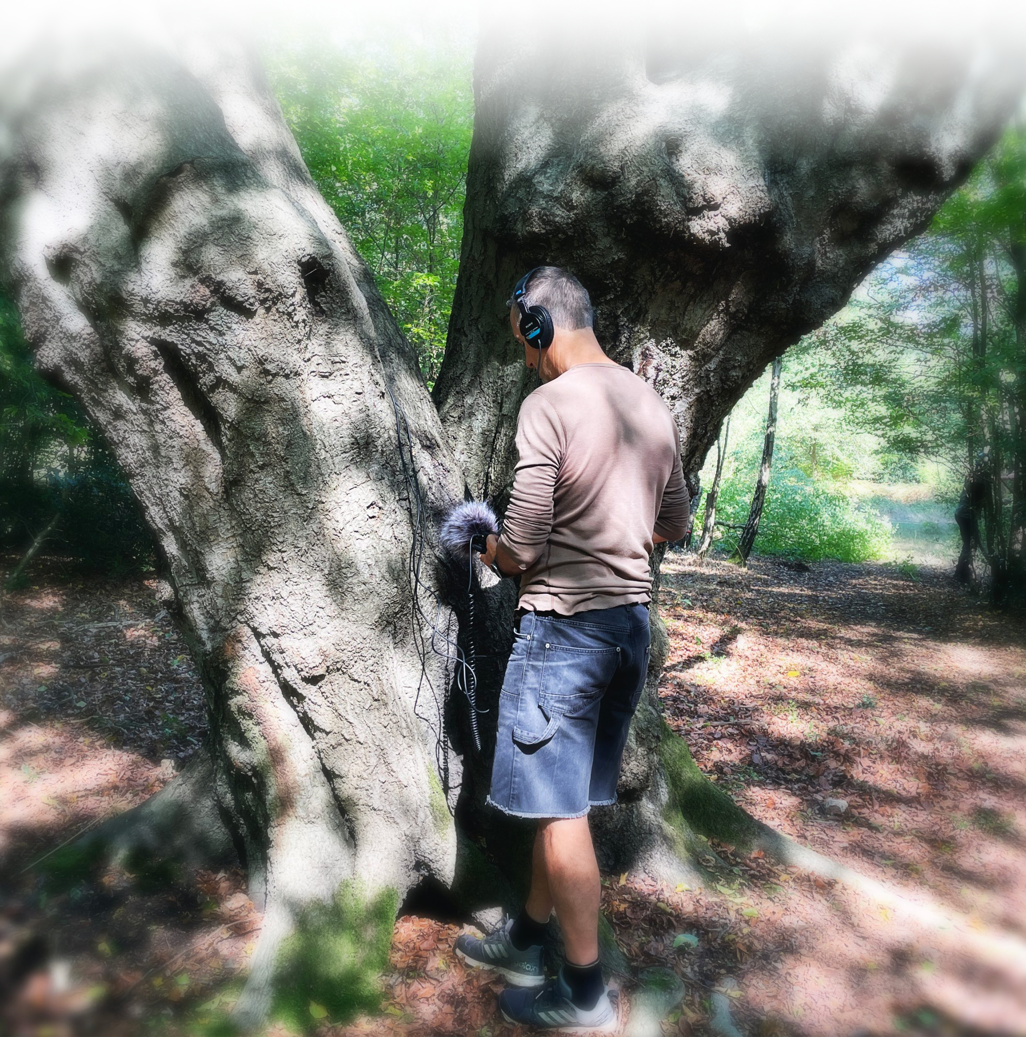 Tree Data